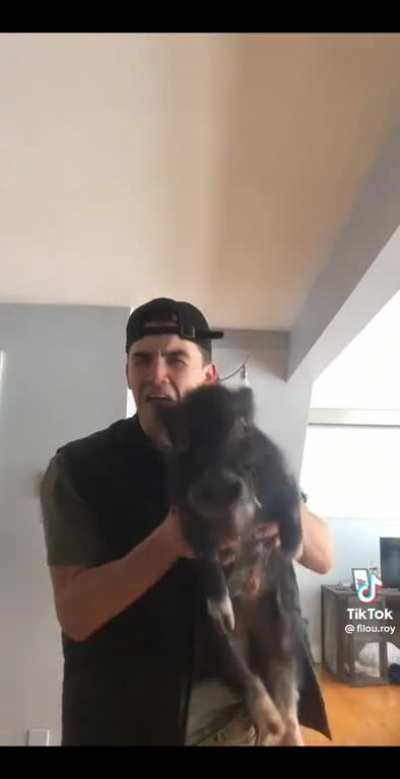 Pig