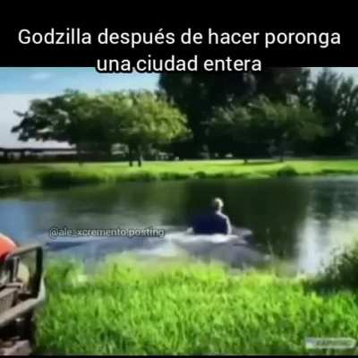 🦎