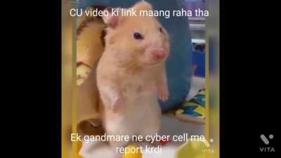 Mari g@nd