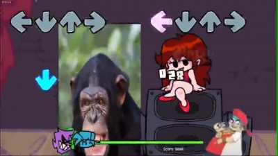 what the fuck