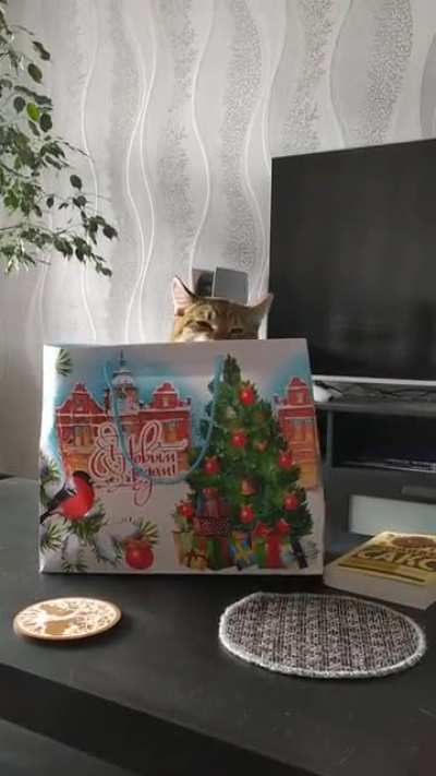 Happy holidays, everyone!