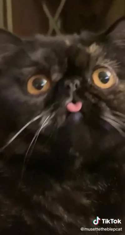 Nyonnyonnyonnono
