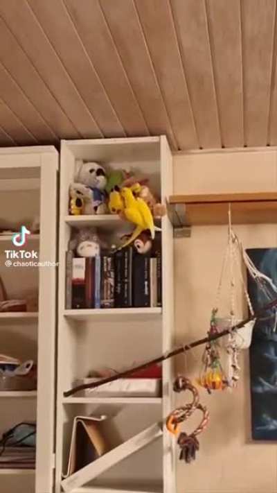 She warned him!