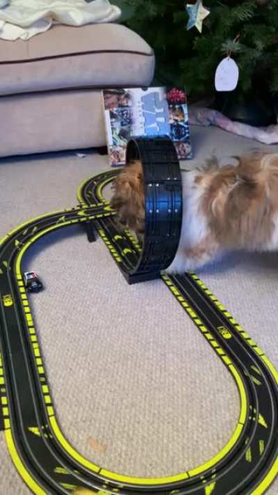 Scalextric Extreme