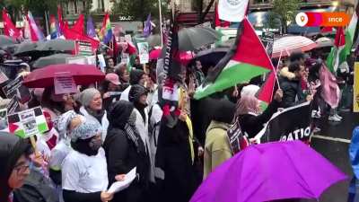 Huge pro-Palestine protests all over Europe demand an end to Israel's genocide in Gaza