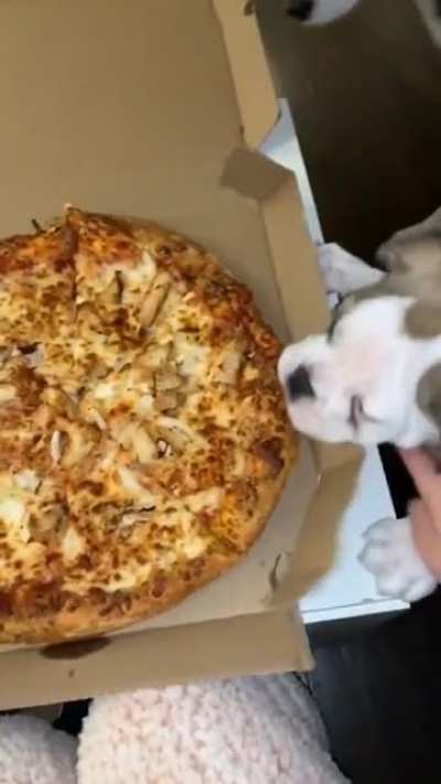 Comida