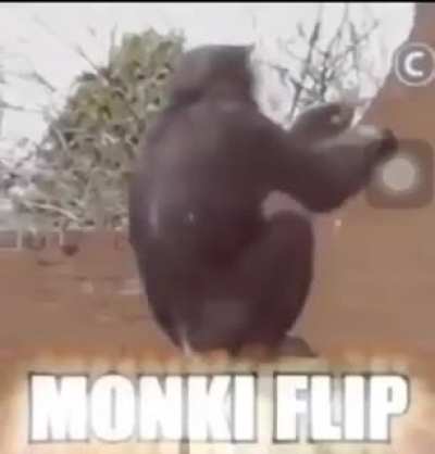 xd