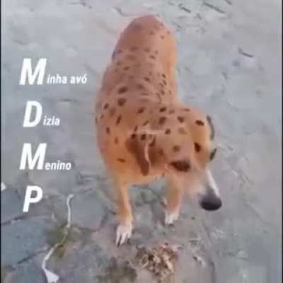 Day 1 of posting this meme until jake sees it