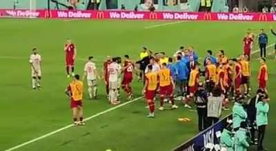 Angry and losing Serbian football fans shout “Kill, kill Albanians (slur)”, after two Albanian-born Swiss players kick them out of World Cup.