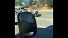 Face forward with the bike behind you