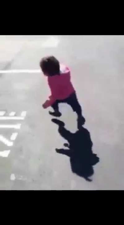Beware The Shadow