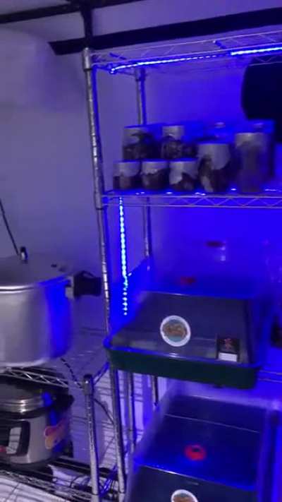 New lab 🧫🔬