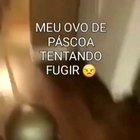 Fodase