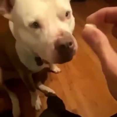 NoO-