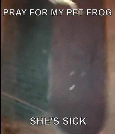 Flippin Rad frog