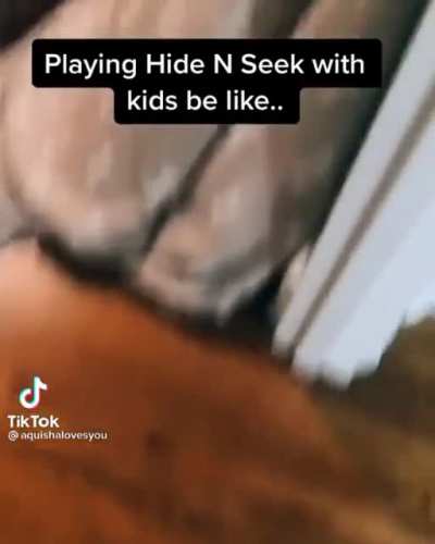 Another pro hide and seeker