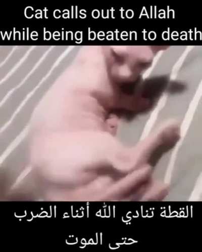 Ramadan Kareem