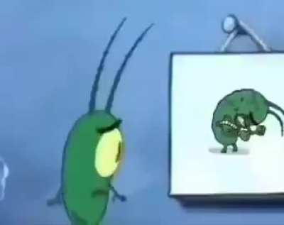 bob sponge