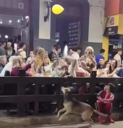 This stray dog was overjoyed to be playing balloon with some strangers in the street. 🐶😁