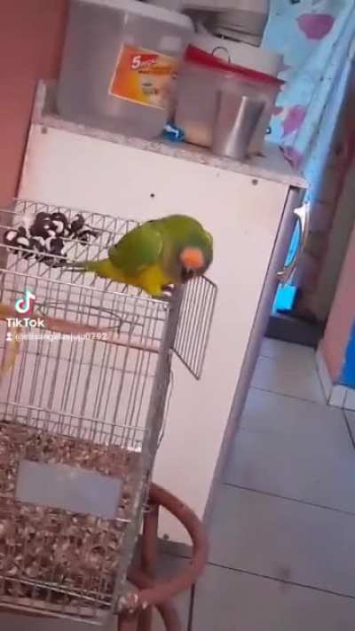 Hmmm