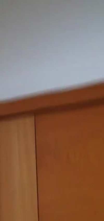Sucked a mosquito on the ceiling. You suck my blood, I suck you into abyss. *LOUD NOISE*