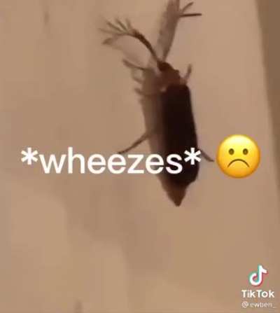 Wtf even is this thing?