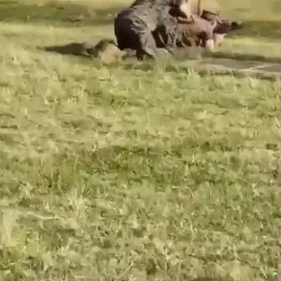 Не подск<wbr>ажите что за войска?