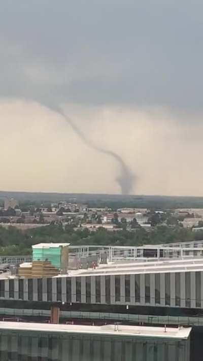 Spotted from Anschutz