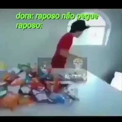 Hoje não raposo