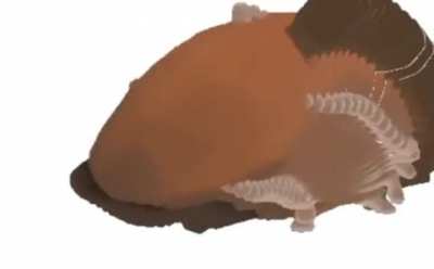 yes