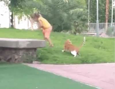 Instant Justice Karma Served