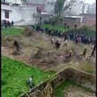 Leopard escapes in an Indian Village