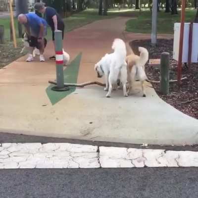 Teamwork