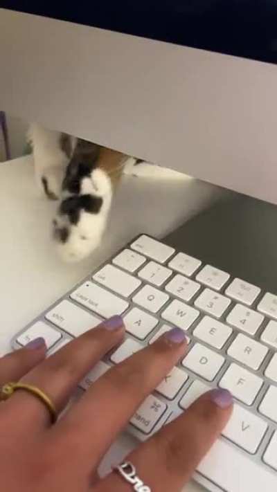 When your coworker wants attention