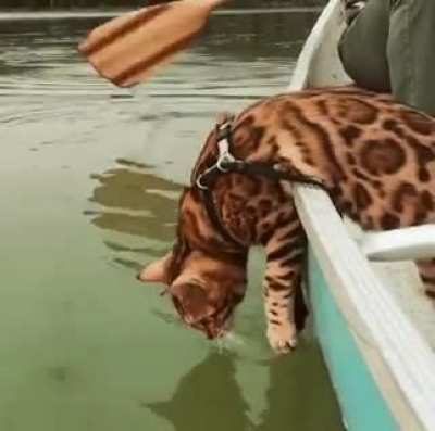 Touch Tha Water