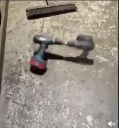 OMG NO THE DRILLS ARE FIGHTING