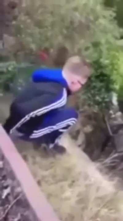 Kid jumps into glass table