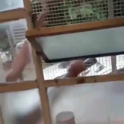 Brasil: Pátria educadora.