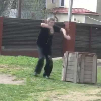 Alien Kung Fu