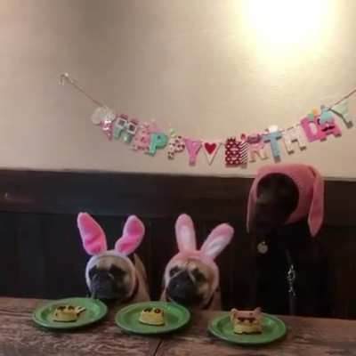 Not well thought out...