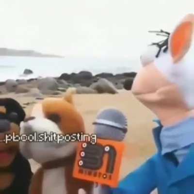 No sé que poner de titulo