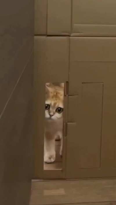 Maybe maybe maybe
