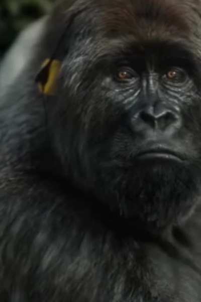 Humanity is doomed, return to Monke !