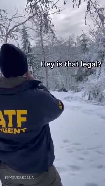 They came knocking