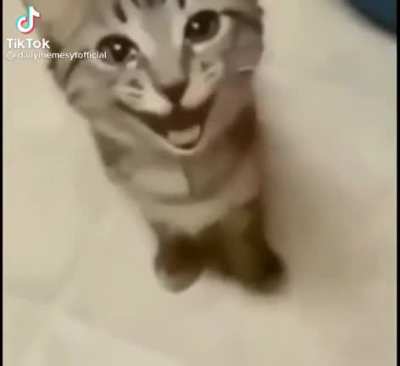 :D