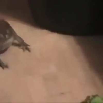 AAAAAAAAA