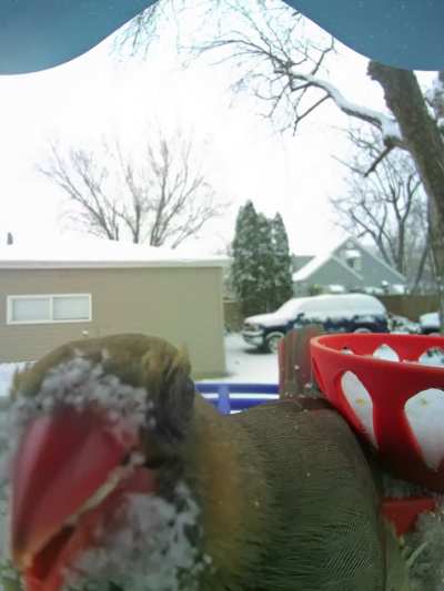 Snow day