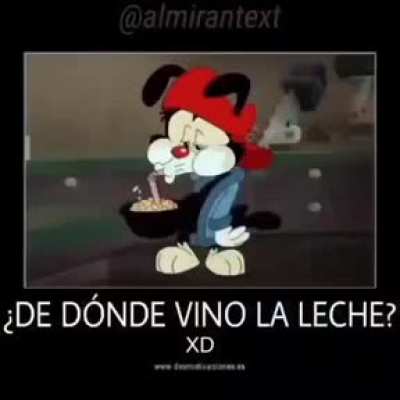 De donde sacó la leche?
