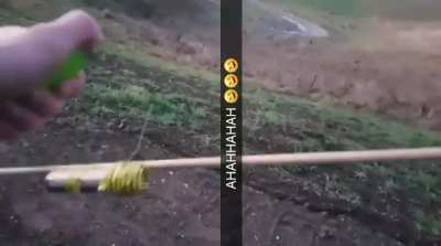 From r/PerfectlyCutScreams