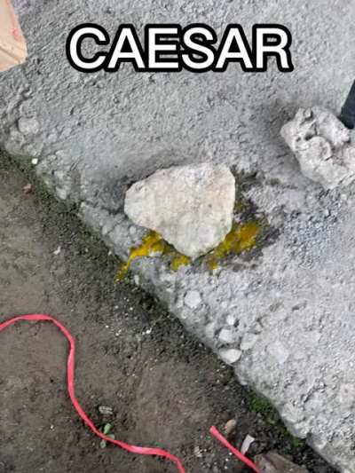 The chicken's mom cried.